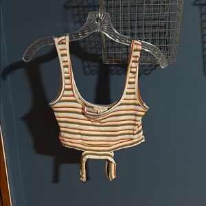 Striped Multicolor Ribbed Crop Top